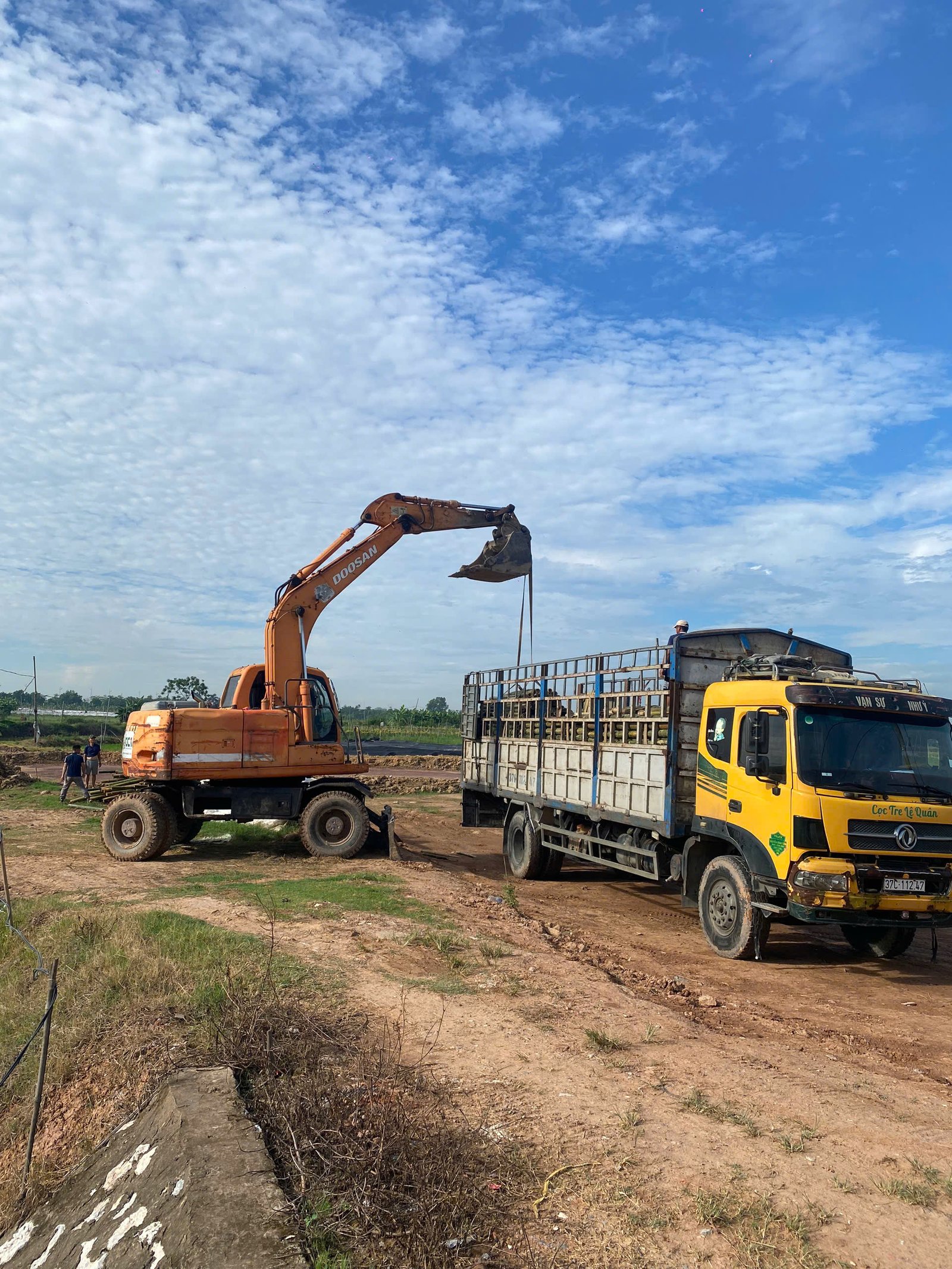 Tiêu chuẩn chọn cọc tre