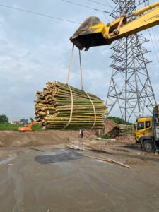 Cọc tre gia cố nền móng khi nào nên sử dụng?