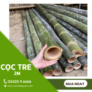 Cọc tre 2m giá rẻ