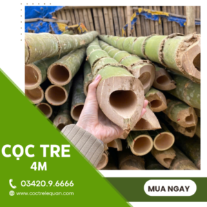 Cọc tre 4 m giá rẻ