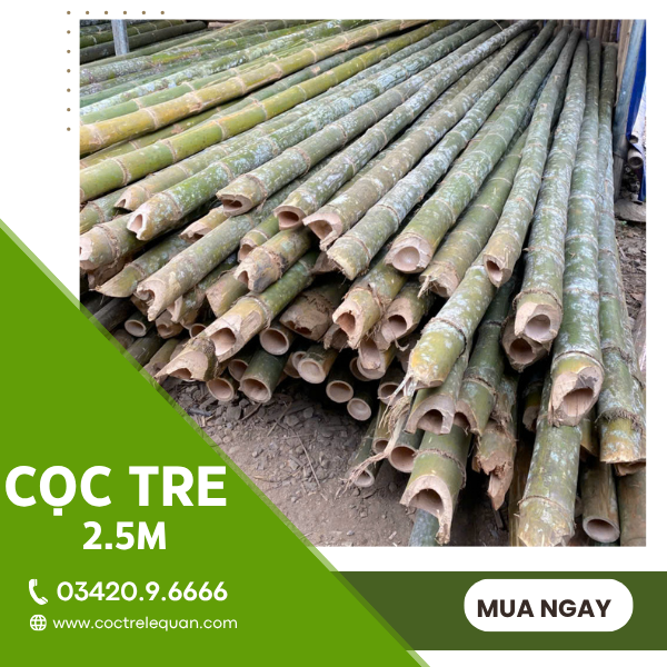 Cọc tre 2.5m giá rẻ