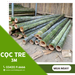 Cọc tre 3m giá rẻ