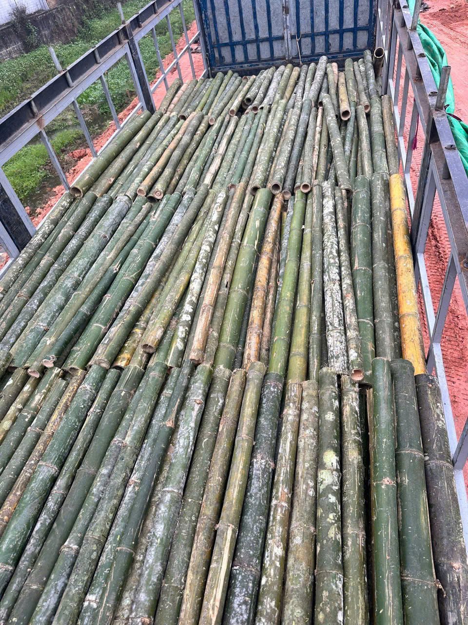 Kho bãi cọc tre 2m