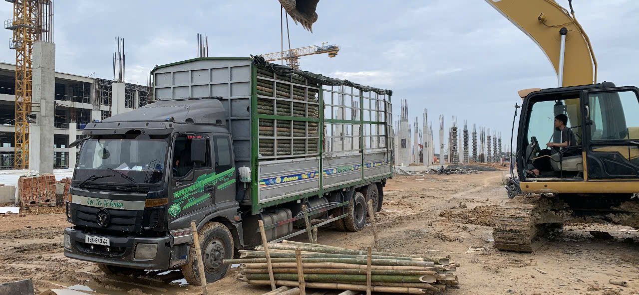 Cọc tre cho sân bay gia bình bắc ninh