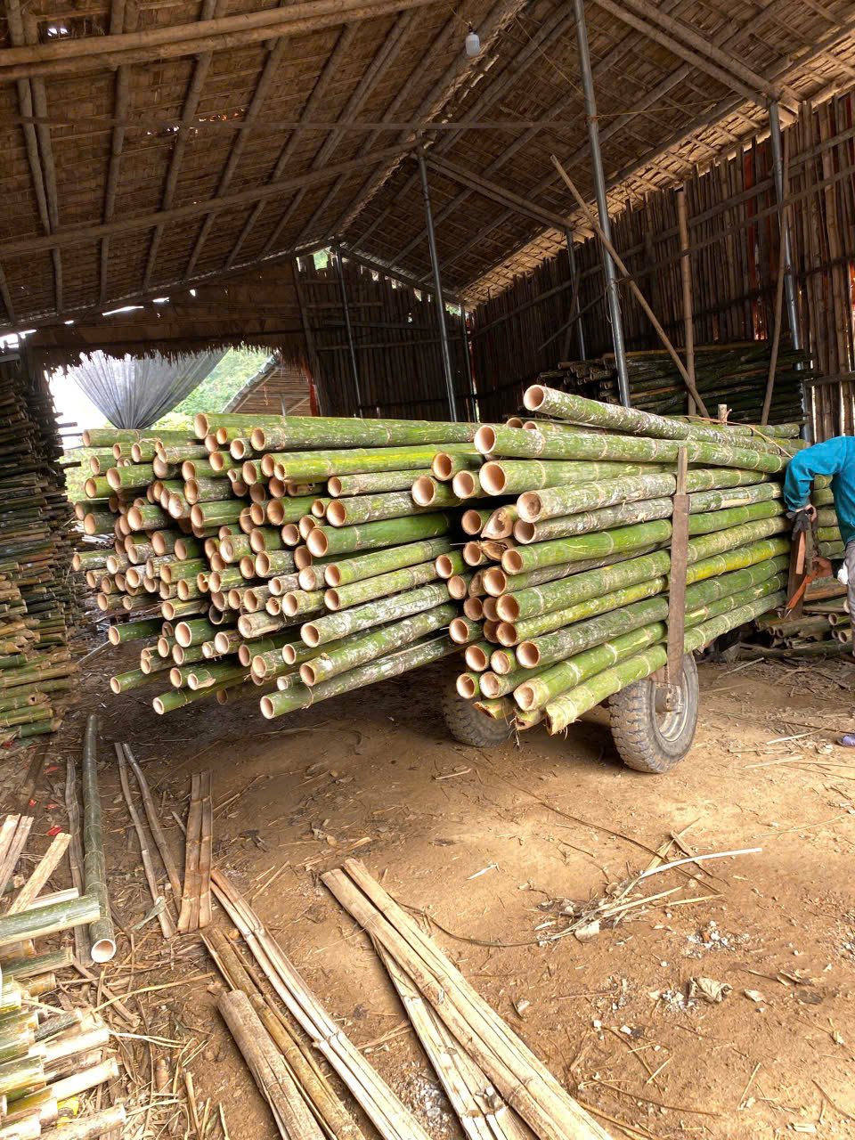 Cọc tre 2m - Giá tốt nhất - Chất lượng nhất