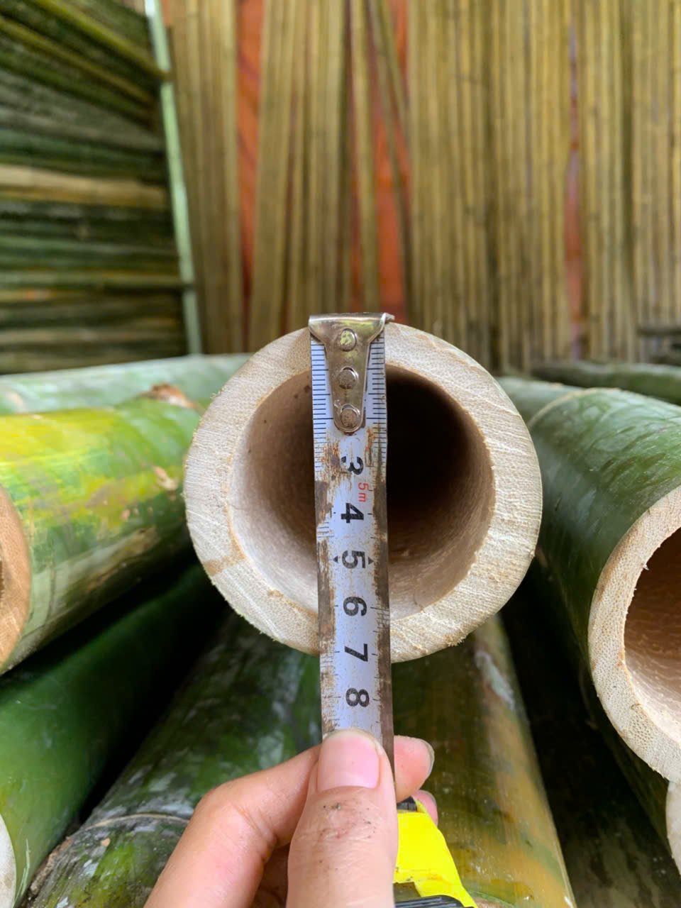 Cọc tre dài 2.5M