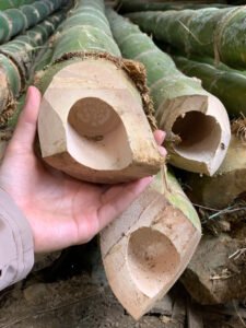 Cọc tre xây dựng